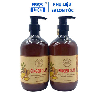 Dầu gội Ginger chính hãng, dầu gội gừng Ginger 800ml giảm gàu ngăn rụng tóc