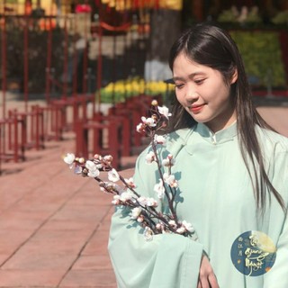 Hoa mai 77cm decor Đạo cụ chụp ảnh Hoa giả trang trí Tết Hoa mai phong cách cổ trang
