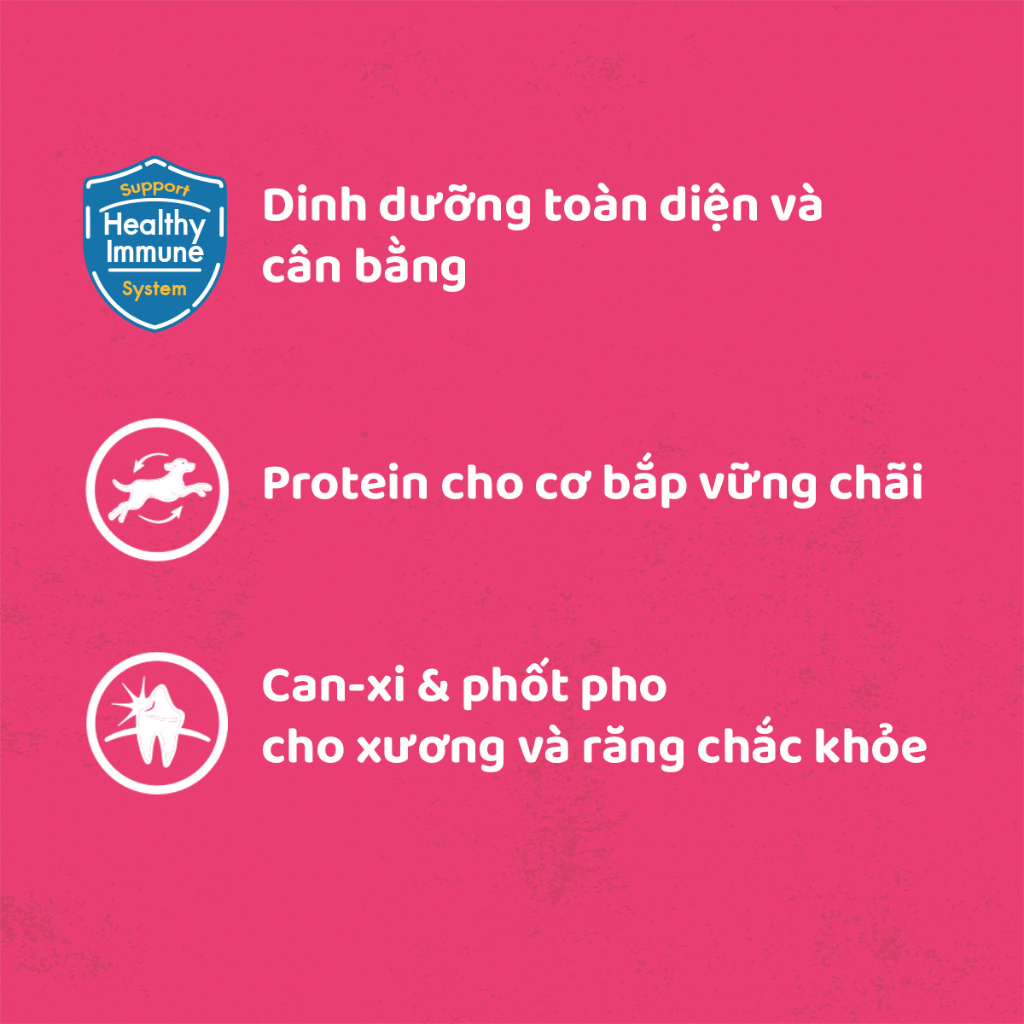 Thức Ăn Cho Chó Con Dạng Sốt PEDIGREE NutriDefence - Vị Bò, Trứng và Rau (80g, 12 Gói)