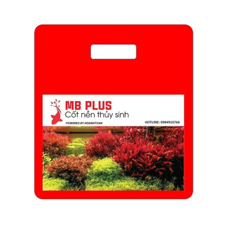 Cốt nền Magic base Hồ Anh Tuấn - Cốt nền thủy sinh