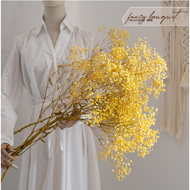 Hoa baby khô ❤️FREESHIP❤️ Gypsophila trang trí decor chụp ảnh