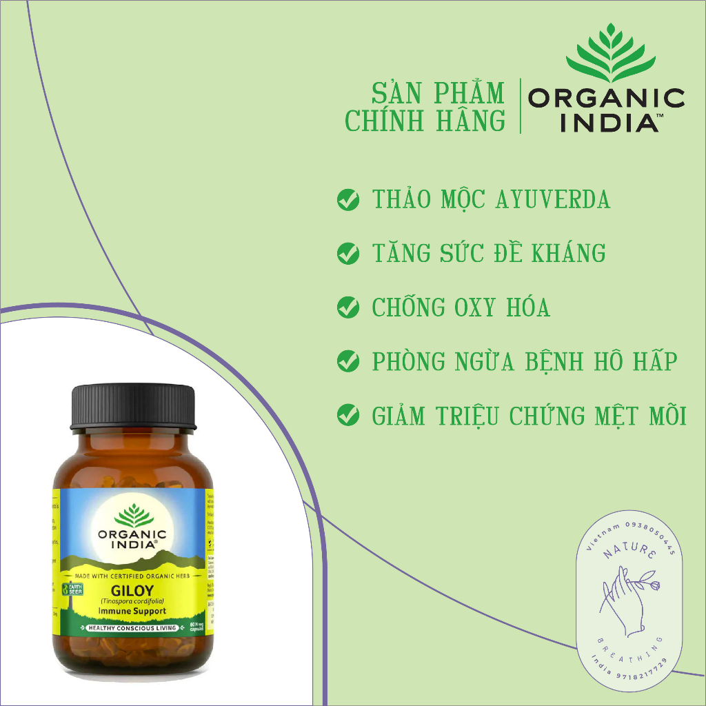 Viên Uống Hỗ Trợ Hệ Miễn Dịch Lá Giloy | Organic India Giloy 60 Viên theo khoa học Ayurveda