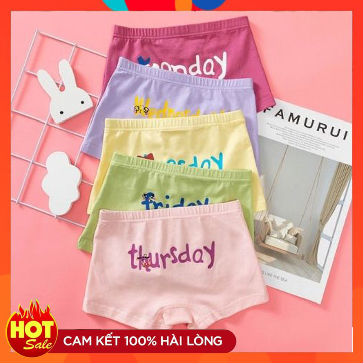 Combo 5 quần chíp đùi trẻ em cao cấp (xuất dư)