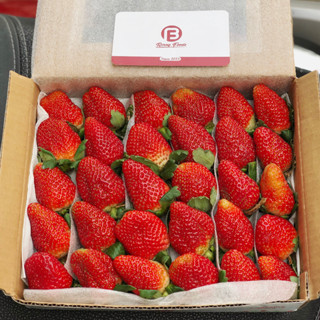 [Giao Nhanh 2h] Dâu Mỹ Montery Trồng Công Nghệ Cao Tại Đà Lạt - Hộp 500gr - Tặng Kèm Muối Xí Muội