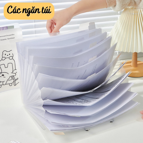 TÚI ĐỰNG TÀI LIỆU A4 6 NGĂN Chống Nước Cute File Lá Trong Suốt Tệp Chia Ngăn Giấy Kiểm Tra Đề Cương Hồ Sơ Rẻ Peach Home