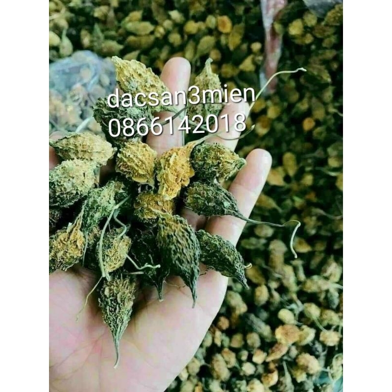 Mướp đắng rừng (khổ qua) nguyên quả sạch thơm 500 g