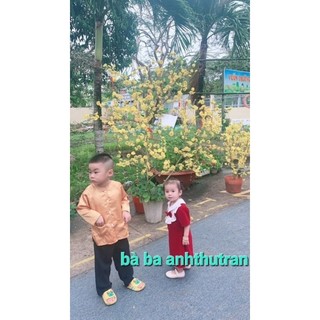 Bộ bà ba áo vàng + quần đen