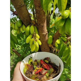 Mắm ba khía trộn sẵn (hũ 500gr)