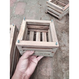 chậu gỗ trồng lan hình vuông size 15x15cm