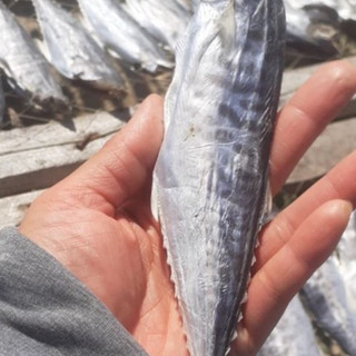 Cá thu khô, Khô cá thu thịt dai chắc -  Túi 1kg