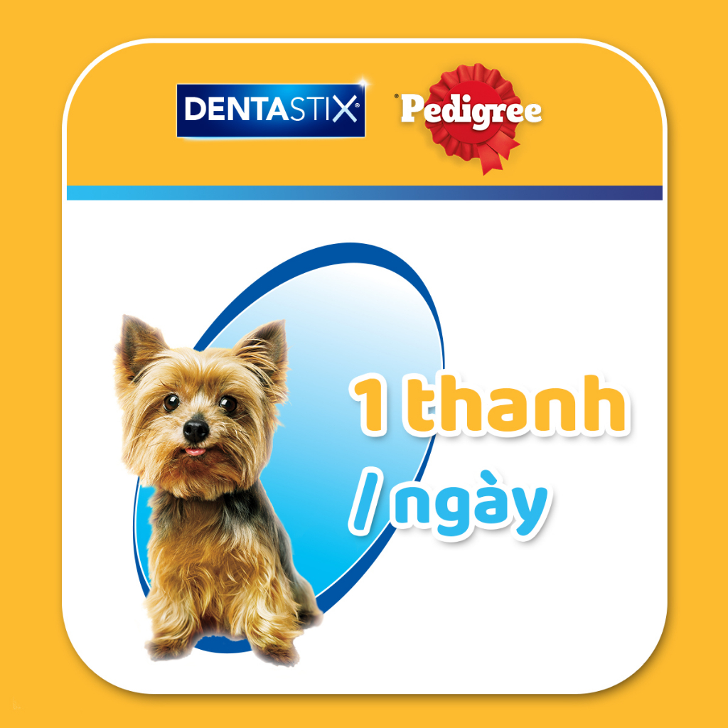 Bộ 3 bánh xương cho chó kiểng Pedigree Dentastix 60g/gói