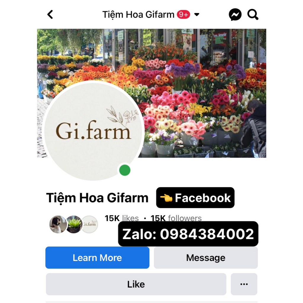 Hoa Tulip màu đỏ tươi | Ship hỏa tốc| Hoa tươi Gi.farm
