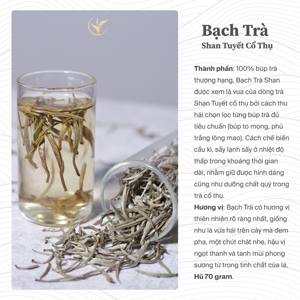 Hũ Bạch Trà Shan Tuyết Cổ Thụ Thiện Tài Trà Cổ Thụ Hà Giang Loại Tôm Nõn Hũ Thủy Tinh 70gram Hảo Hạng Dùng Thử