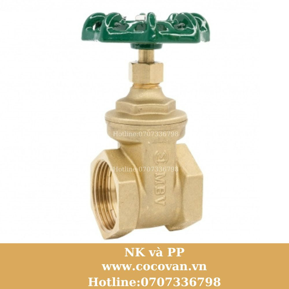 Van cửa ren đồng mbv Việt Nam DN15 - DN40