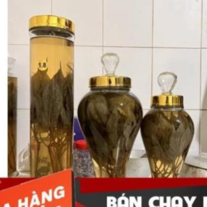 Lá sâm Ngọc Linh ngâm sẵn
