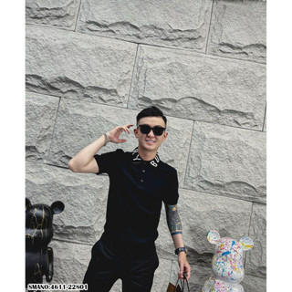 Áo polo nam cổ bẻ bbr, áo polo nam cổ bẻ tsimple thun basic cộc tay.gentlemen's fashion