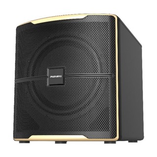 LOA SUB ĐIỆN PARAMAX Z-SUB