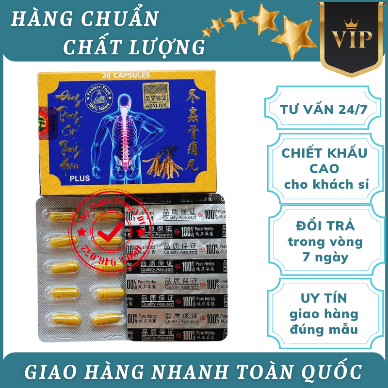 Đông Trùng Cốt Thống Hoàn Hộp 20v (Hàng xịn)