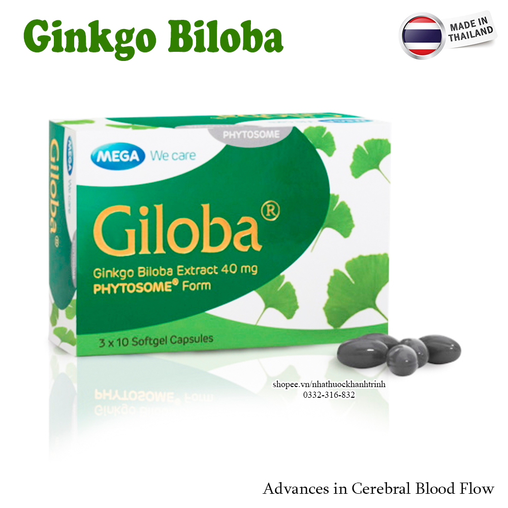 Viên bổ não Giloba 40mg chính hãng MEGA THÁI LAN, hộp 30 viên, tăng cường tuần hoàn não, cải thiện trí nhớ
