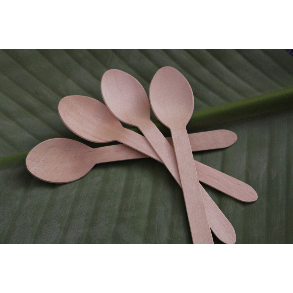 (50 cái) Thìa Gỗ Dài 16cm Dùng 1 lần thân thiện môi trường