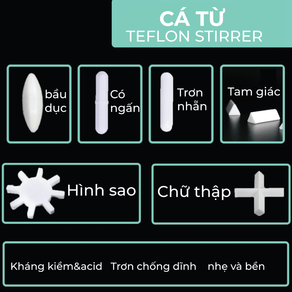 Cá từ bụng bầu dục