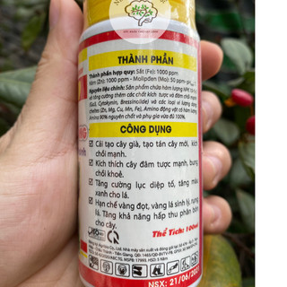 TD - 90 Siêu Phóng đọt, Bật chồi, Mập cọng chai 100ml