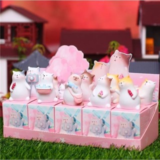 Hộp mù nhật kí mèo béo dã ngoại đáng yêu