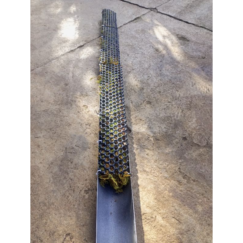 Trụ cây bán nguyệt, đã có giá thể  khuyến mãi phân bón