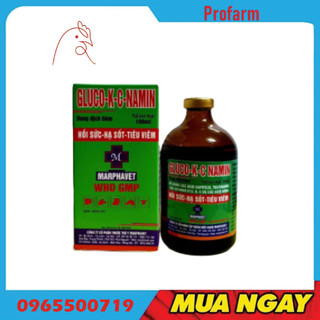 Lọ gluco kc namin 100ml ha sot, hoi suc, tieu viem