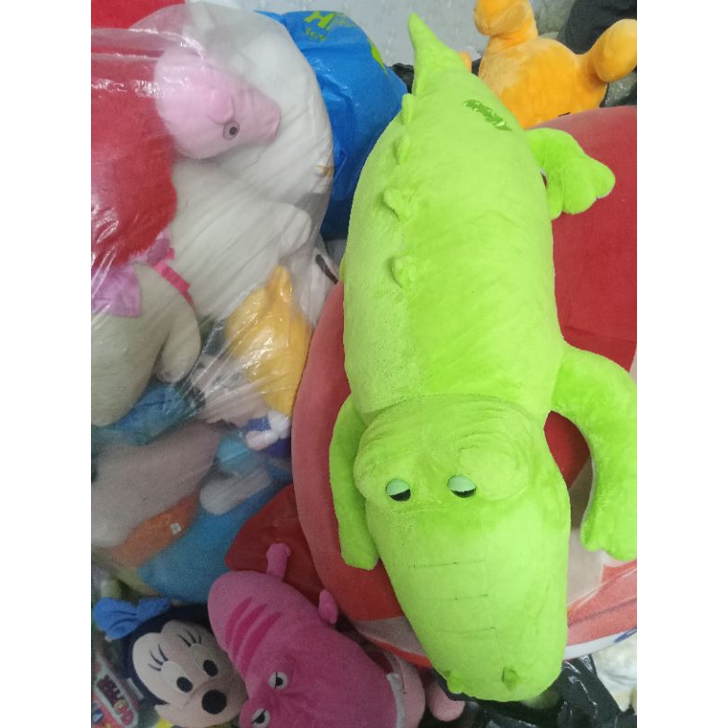 Gấu bông cá sấu size 80-90cm