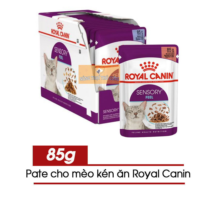 Pate Royal Canin Sensory (Đánh Thức Giác Quan) Cho Mèo Kén Ăn 85gr