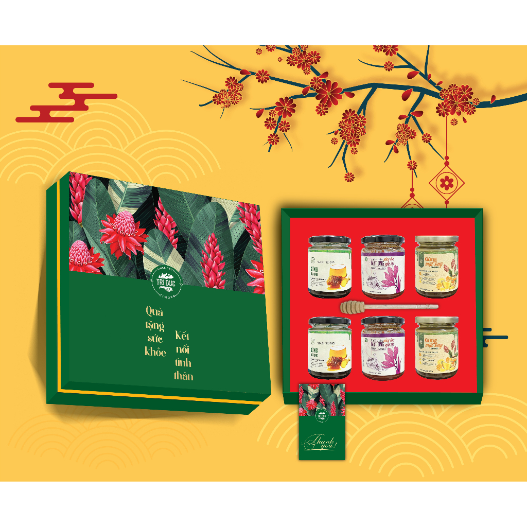 Hộp quà tặng sức khỏe- kết nối tình thân Trí Đức Ginger số 1
