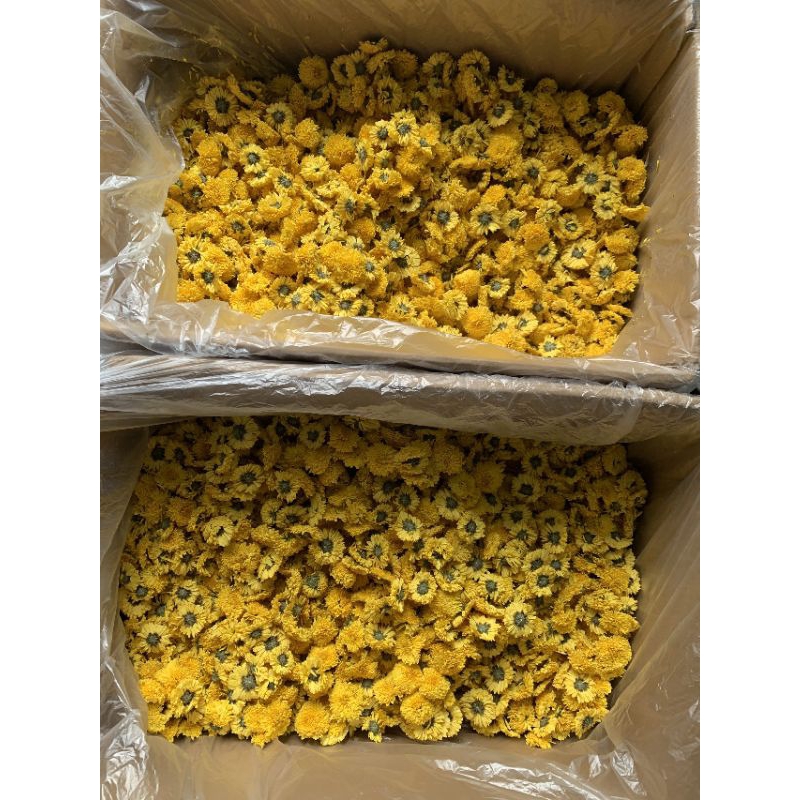 Hoa cúc vàng - 100gr