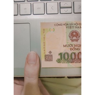 Nailbox thiết kế giá hạt dẻ