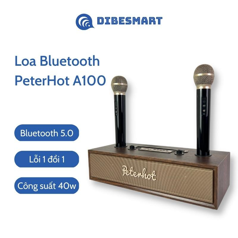 Loa karaoke bluetooth Peterhot A100 DIBESMART 2 micro không dây, âm thanh siêu hay, bảo hành 12 tháng