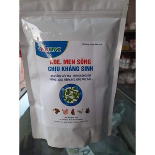 Ade men sống chịu ks