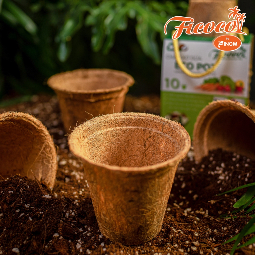 CHẬU XƠ DỪA ECO POT