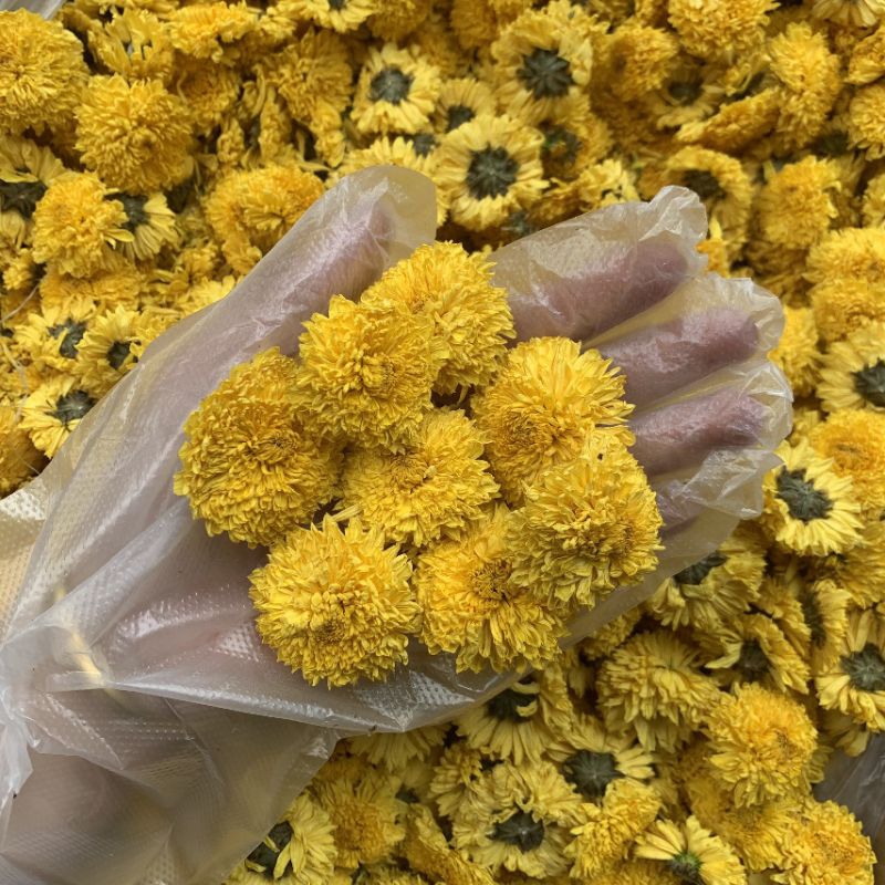Hoa cúc vàng - 100gr