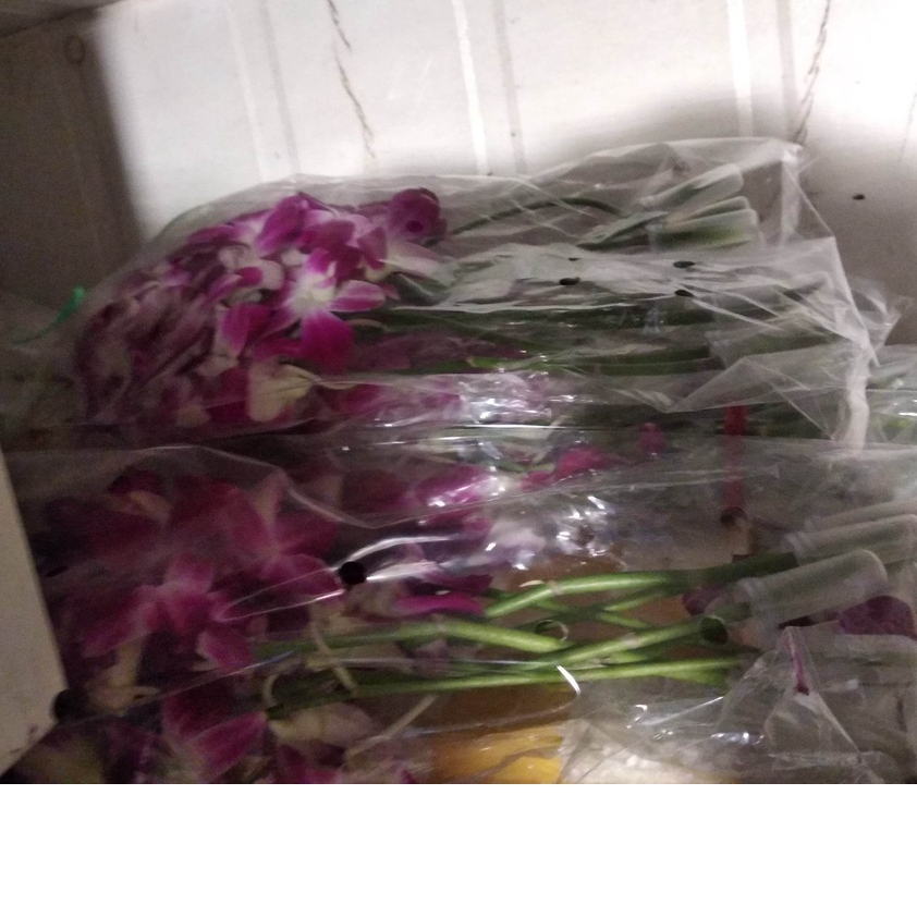 Hoa lan tươi decor trang trí đồ ăn uống