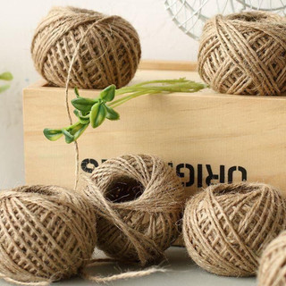 Xả cuộn 50m dây gai trang trí