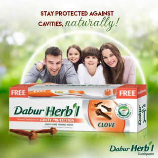Hạn 4.2027 - Có bàn chải - Kem đánh răng đinh hương Dabur Herbal toothpaste with Clove 155g