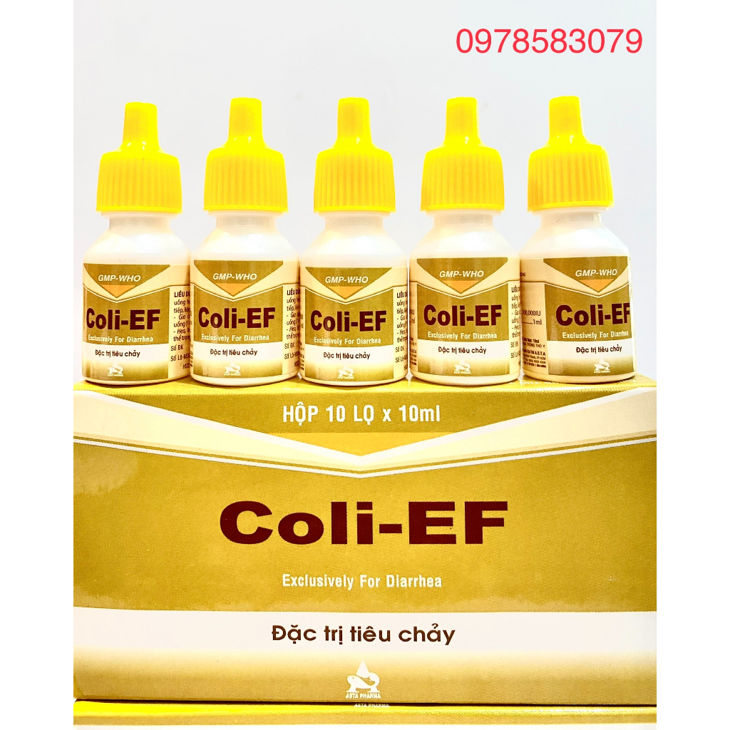 Combo 5lọ Coli EF Tieu chay phan trắng, phan xanh, trên ga đá, heo vat nuôi