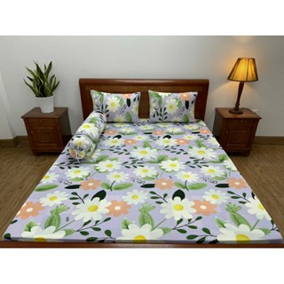Ga/drap lẻ thun lạnh Hàn Quốc(may thun luồn) 1.6*2m nệm dưới 20cm