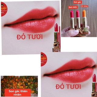 Son gấc màu đỏ tươi sx Việt Nam chính hãng