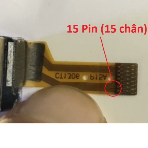 Màn hình ví lạnh Ledger Nano S 12 chân và 15 chân