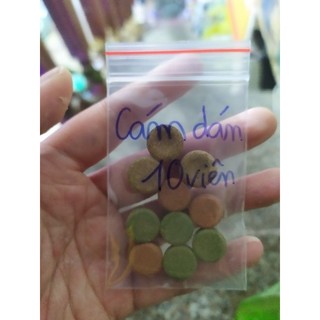 10 viên Cám dán kính cho cá cảnh. (Mua 10 viên tặng 1 viên)