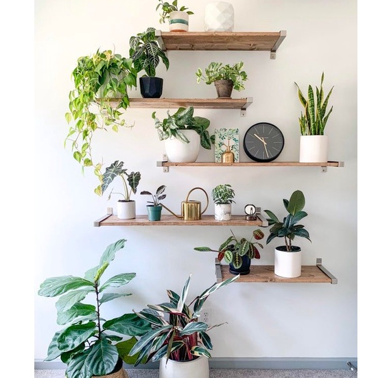 Kệ gỗ treo tường nhiều kích thước, kệ gỗ treo tường trang trí WoodenHouse.decor, decor phòng khách, phòng ngủ, phòng bếp