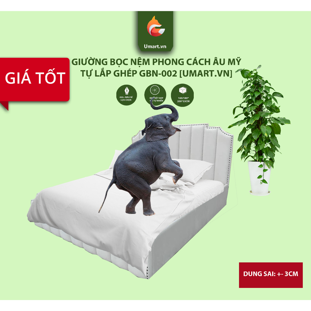 Giường bọc nệm lõi gỗ kiểu bệt, phong cách giường châu âu bọc nỉ giá rẻ GNO-002| Giao hàng toàn quốc