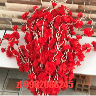 Cành đào râu-anh đào 1m ,trang trí tết