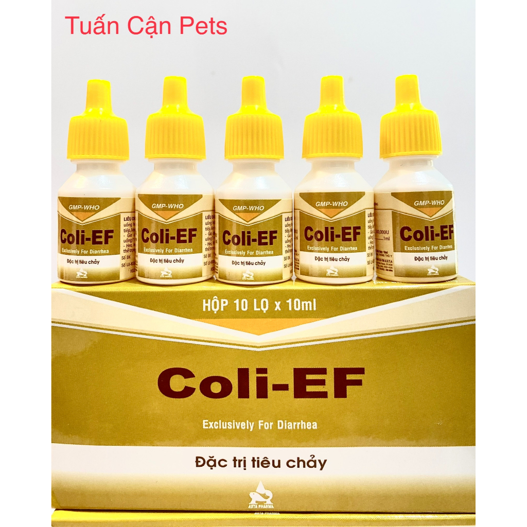 Combo 5lọ Coli EF Tieu chay phan trắng, phan xanh, trên ga đá, heo vat nuôi
